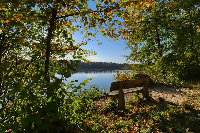 他的打法让 他的打法让