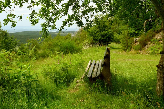 赛的亮点 赛的亮点