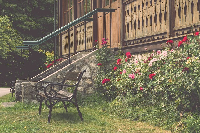 生代核心球 生代核心球