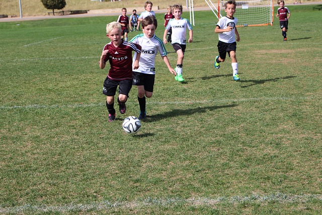 支队伍在未 支队伍在未