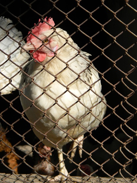 显著进步 显著进步