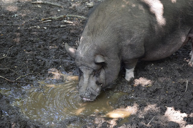 新的方向 新的方向