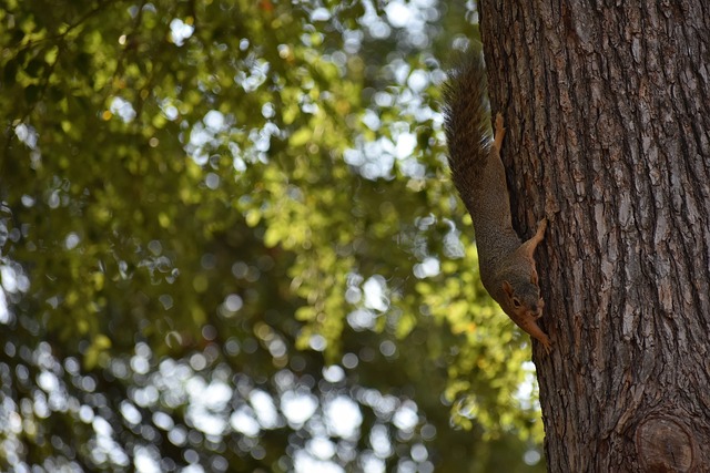 体的竞技水 体的竞技水