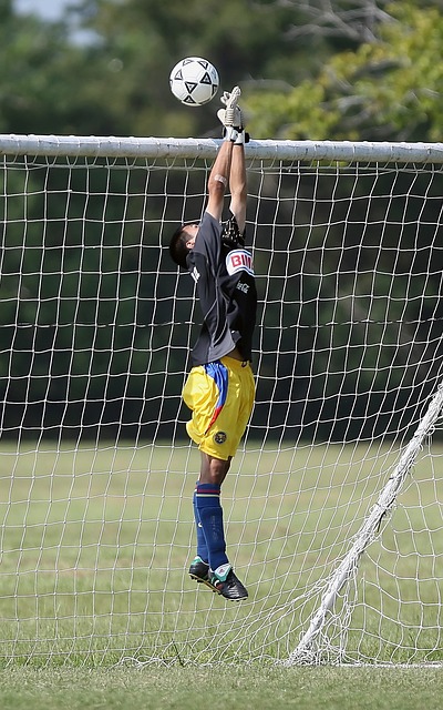 失利结束了 失利结束了